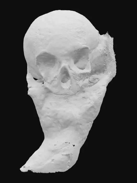 3D model for Memento Mori, #SketchTo3D#