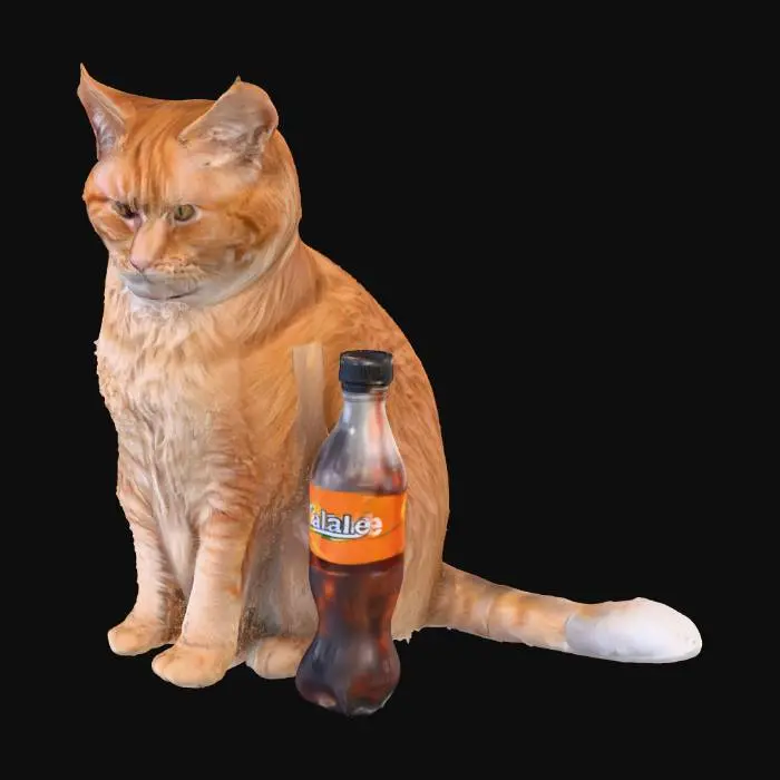 3D model for Cat with Cola and fur