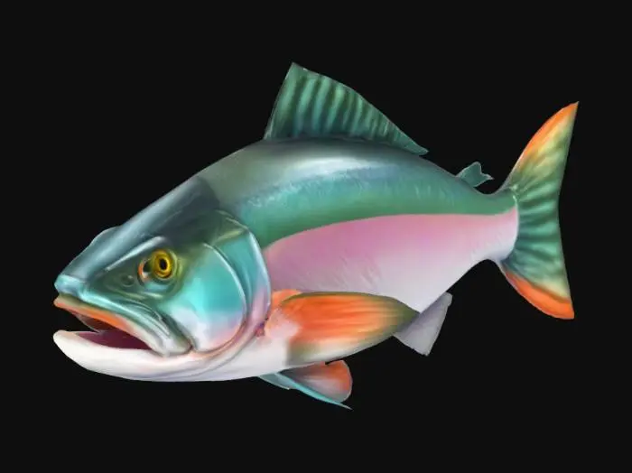 3D model for A Healthy Salmon, Stylized, Fantasy