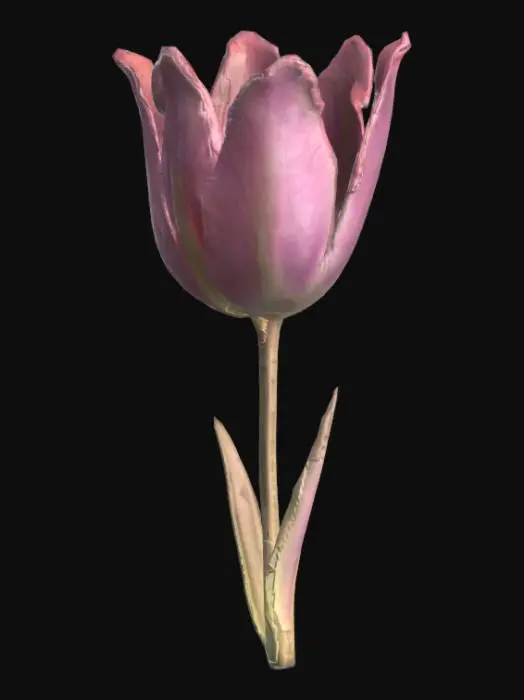 3D model for bioluminescent pink tulip