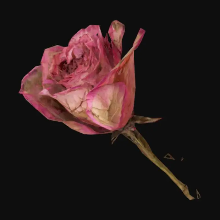 3D model for a highly detailed dried rose with veins of dark to light pink.  The rose has bloomed.  The stem is green and long.
