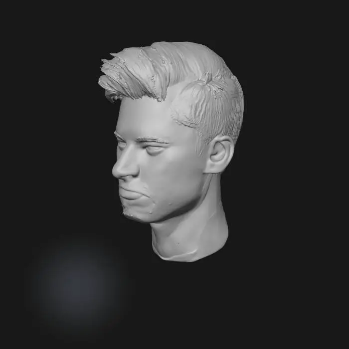 3D model for Portrait in Focus