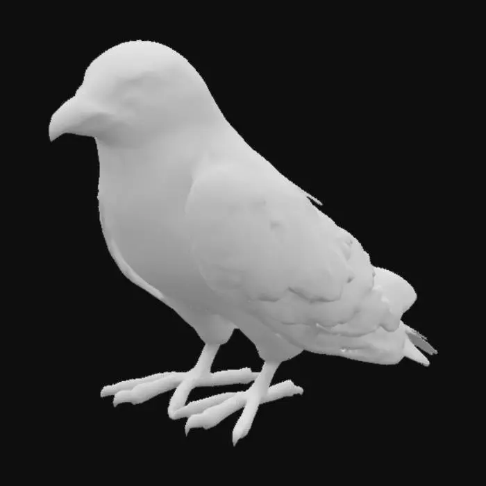 3D model for Bird "peregrine falcon" a.k.a "falco peregrinus" 