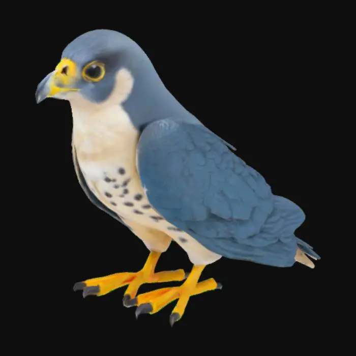 3D model for Bird "peregrine falcon" a.k.a "falco peregrinus" 