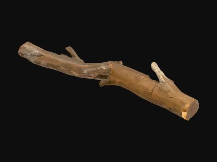 3D model for Branch on Cobblestones