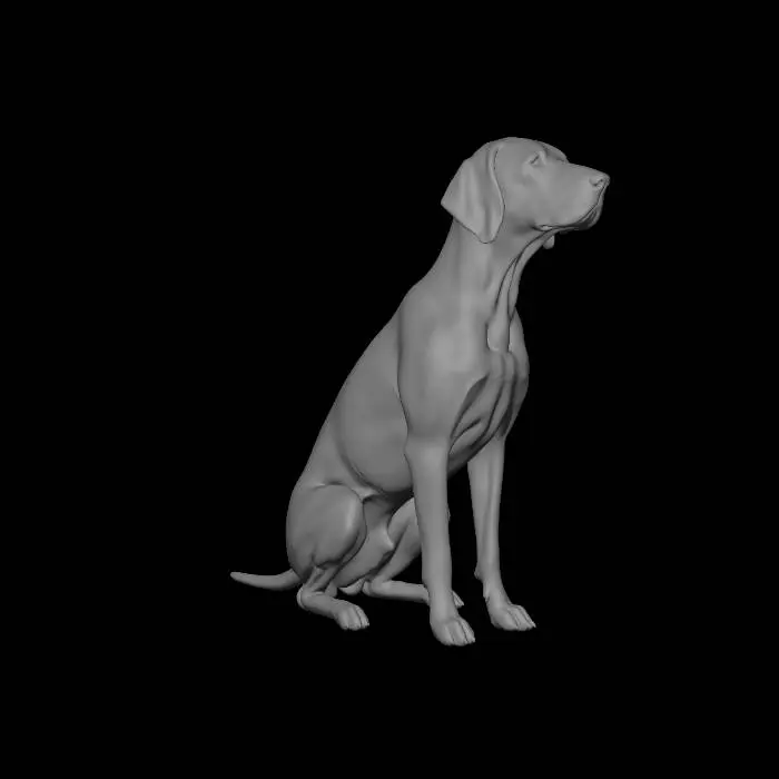 3D model for A detailed, full-body 3D model of an adult Vizsla male dog in a natural, balanced sitting pose, derived from image_58.png. The pose captures the weight on the haunches, front paws together, and the tail resting flush against the ground. The smooth, russet-gold coat and natural musculature are meticulously rendered. The complex, highly accurate geometric polygon wireframe mesh structure from image_57.png is superimposed over the entire form in the new sitting pose. Low-angle studio lighting emphasizes the 3D form and both the mesh density and coat texture. The model features clean, manifold geometry, closed mesh, and is geometrically optimized for direct FFF/FDM 3D printing.