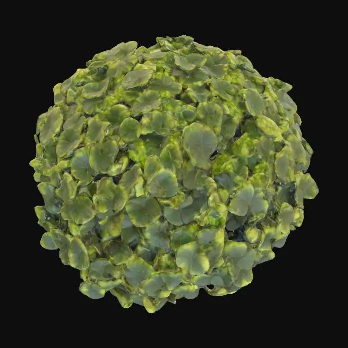 3D model for พุ่มไม้น่ารัก medium poly