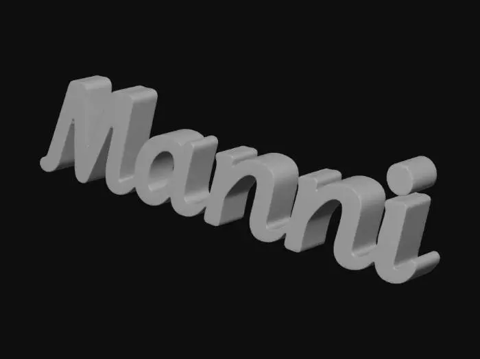3D model for Schriftzug von Manni