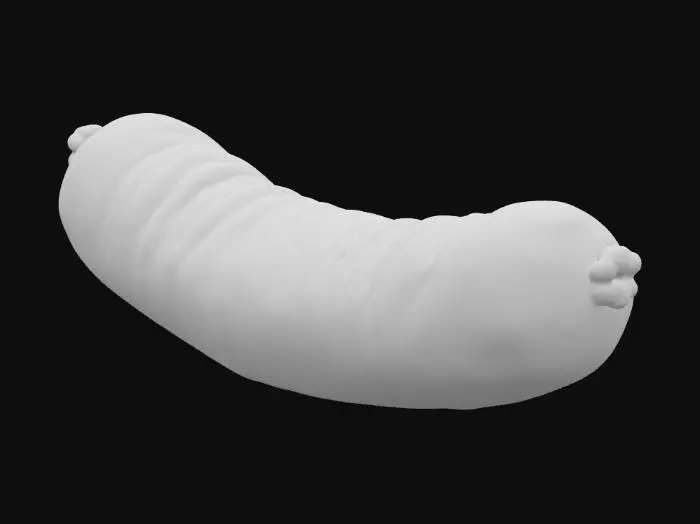 3D model for Grilled smoke Sausage