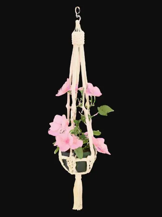 3D model for Low poly, hanging macrame, jasmin, pink flower plant