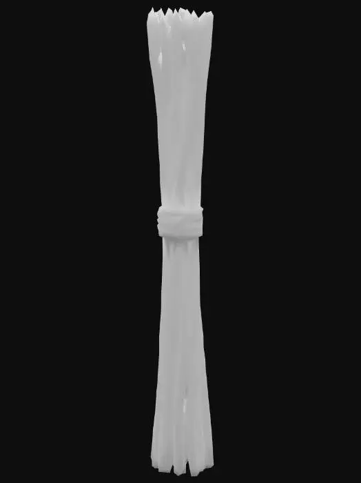 3D model for Long bundled up teepee poles, ready for travel. No background
