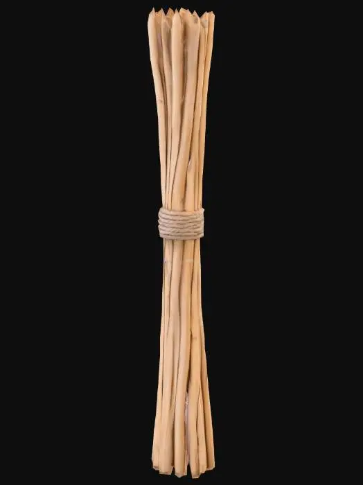 3D model for Long bundled up teepee poles, ready for travel. No background
