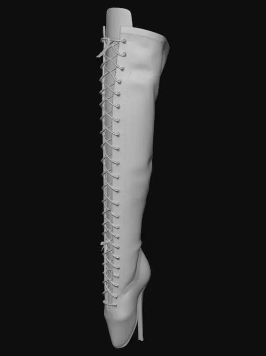 3D model for Midnight Patent Boot
