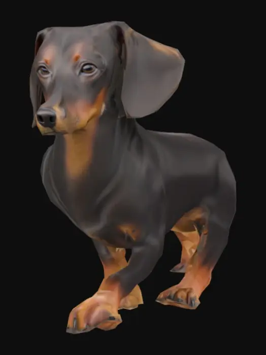 3D model for Dachshund Dog