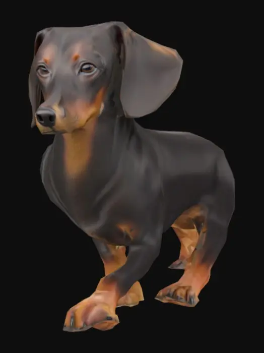 3D model for Dachshund Dog
