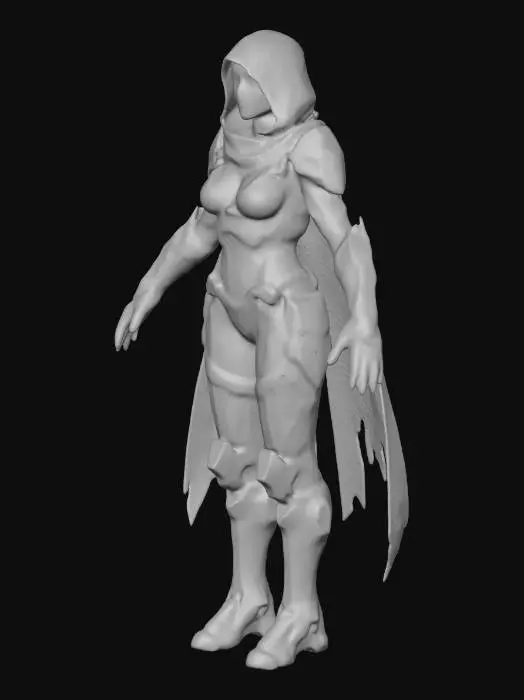 3D model for Shadow Cyborg Hunter