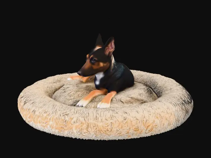 3D model for Cozy Canine Relaxation