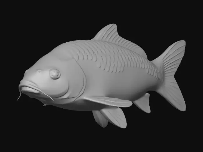 3D model for Azure Koi