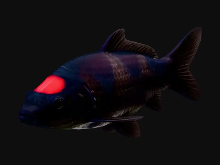 3D model for Red-Capped Black Koi