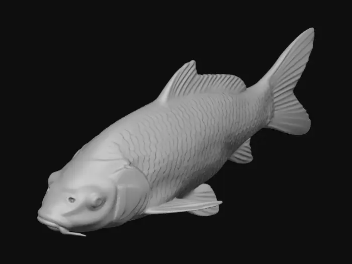 3D model for Red-Capped Black Koi