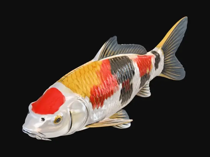 3D model for Red-Capped Black Koi