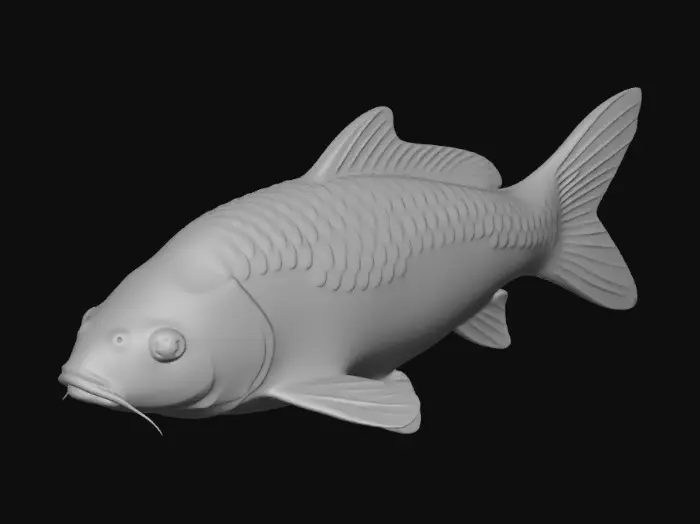 3D model for Azure Koi