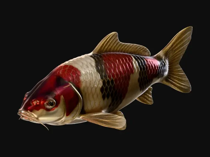 3D model for Azure Koi