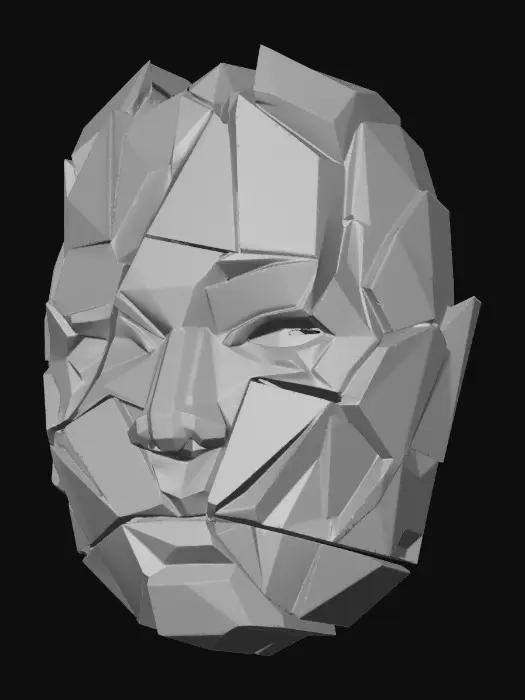 3D model for Fragmented Face