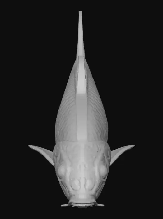 3D model for Gold Koi Boy