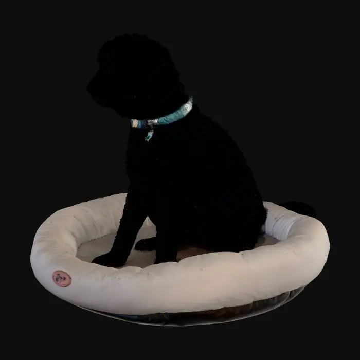 3D model for Midnight Pooch in a Cozy Bed