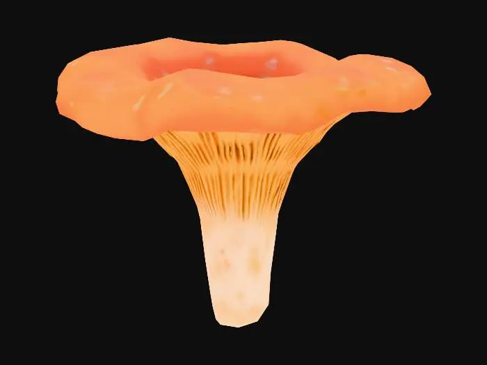 3D model for Chanterelle Mushroom