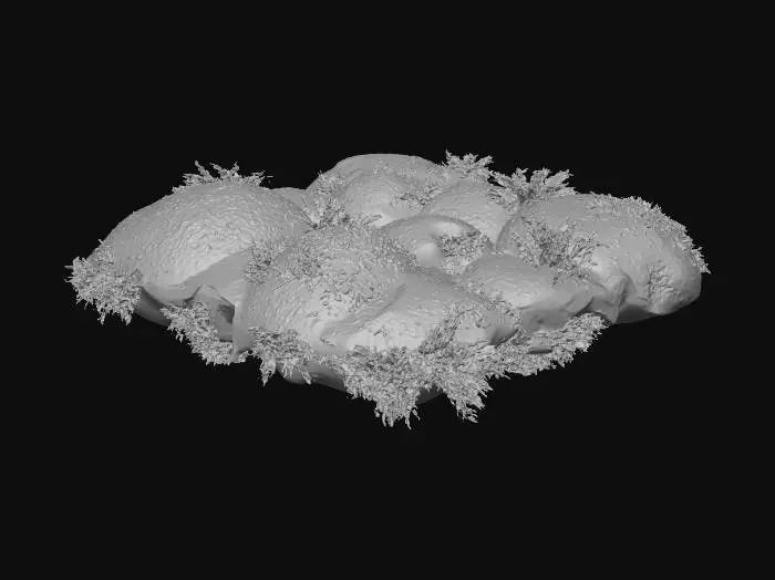 3D model for Create a highly realistic 3D mesh of forest moss as a dense, soft, organic ground cover. The moss should form irregular natural clumps with subtle height variation, small tufts, and uneven patches. It must look like real woodland moss: layered, slightly damp, with micro-detail and organic shapes. Include rich green tones with natural color variation (deep green, yellow-green, slightly brownish edges). The geometry should be optimized for tiling across large landscapes. Provide clean topology, medium-to-high poly detail, and generate high-quality PBR textures (albedo, normal, roughness, AO). The final mesh should seamlessly tile when duplicated and be suitable for Nanite in Unreal Engine 5