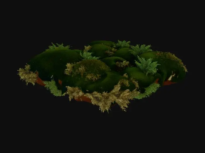 3D model for Create a highly realistic 3D mesh of forest moss as a dense, soft, organic ground cover. The moss should form irregular natural clumps with subtle height variation, small tufts, and uneven patches. It must look like real woodland moss: layered, slightly damp, with micro-detail and organic shapes. Include rich green tones with natural color variation (deep green, yellow-green, slightly brownish edges). The geometry should be optimized for tiling across large landscapes. Provide clean topology, medium-to-high poly detail, and generate high-quality PBR textures (albedo, normal, roughness, AO). The final mesh should seamlessly tile when duplicated and be suitable for Nanite in Unreal Engine 5