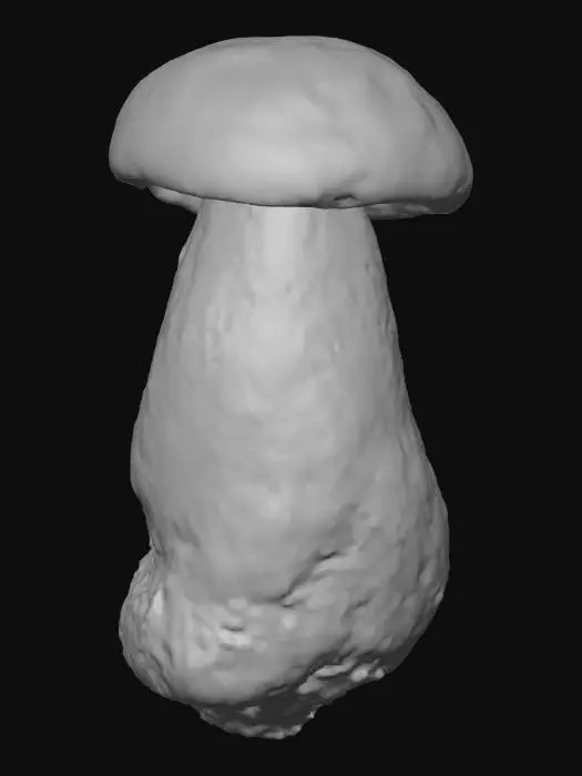 3D model for Porcini Majesty