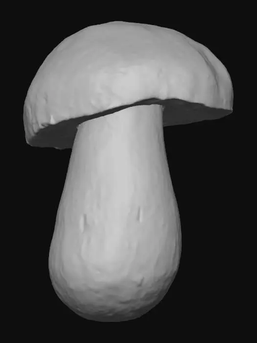 3D model for Ultra-realistic porcini mushroom, detailed texture, natural earthy colors, high-resolution for 3D model, photorealistic lighting