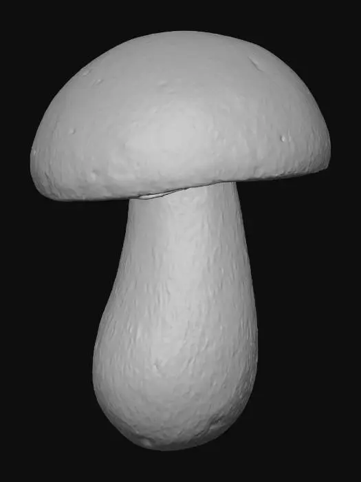3D model for Porcini Mushroom
