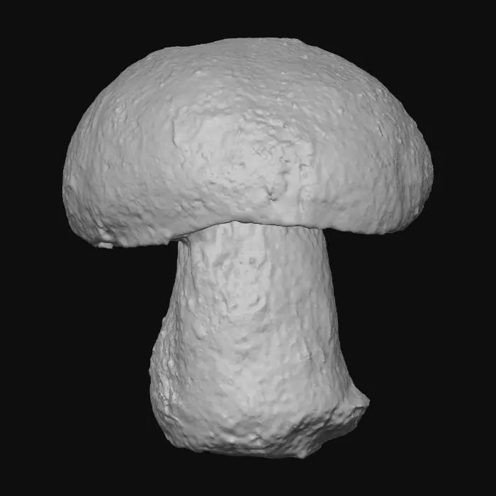 3D model for Porcini Majesty