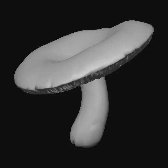 3D model for сгенерируй мне реалисичный гриб - сыроежка