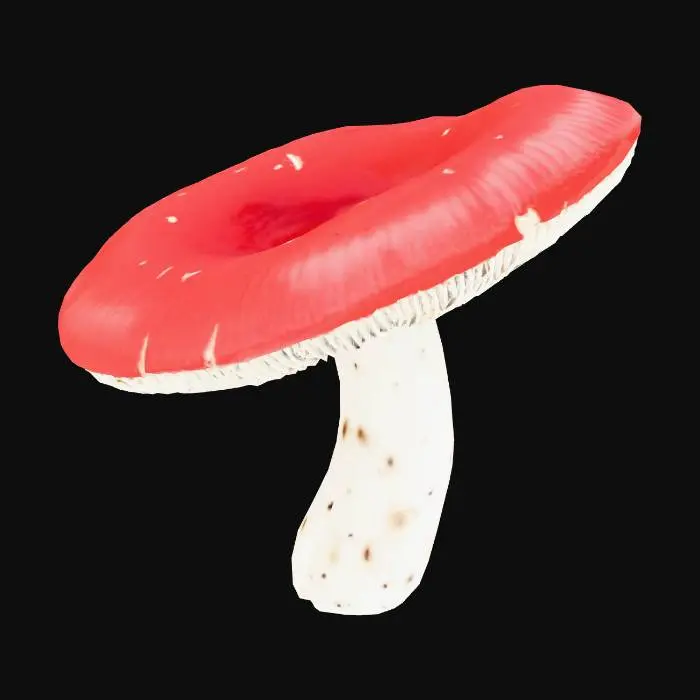 3D model for сгенерируй мне реалисичный гриб - сыроежка
