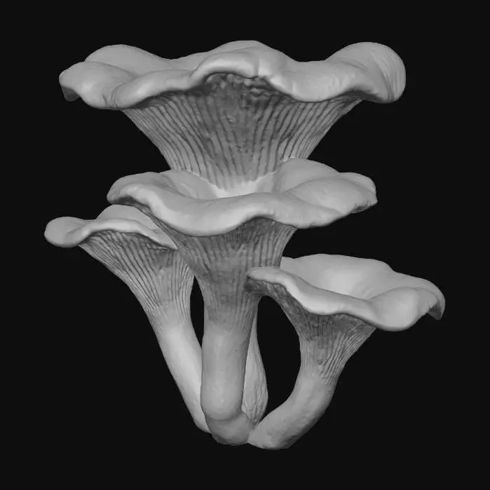 3D model for Сhanterelle mushrooms