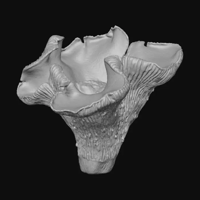3D model for Сhanterelle mushroom