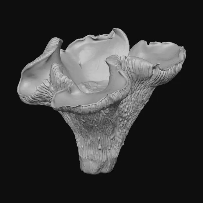 3D model for Сhanterelle mushroom