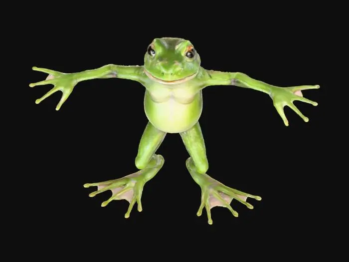 3D model for A realistic 3D model of a frog with front and back legs fully extended, T-pose style, neutral position, ready for animation in Blender or Unity, detailed skin texture, realistic proportions, 4K PBR texture maps (diffuse, normal, roughness, AO)