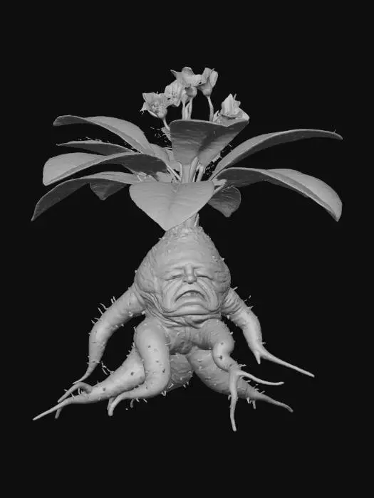 3D model for Realistic side view of a Mandrake plant (Mandragora officinarum), isolated on transparent background (PNG alpha). The full plant is visible with its thick human-shaped root, green leaves, and small pale flowers. Natural lighting, no background, 2K resolution, clean edges