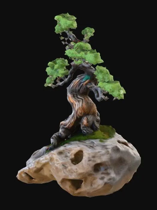 3D model for Stoneborn Bonsai