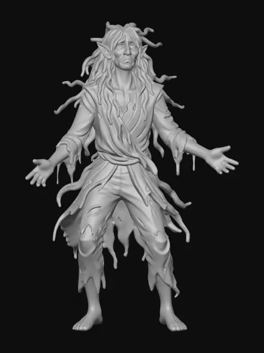 3D model for Wandering Phantom