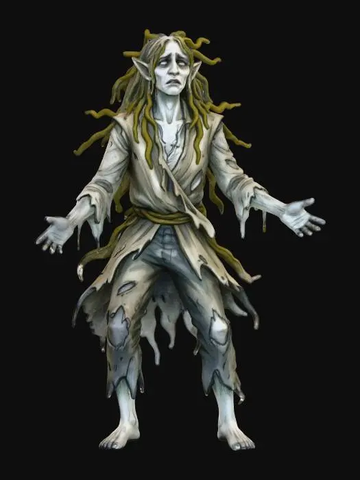 3D model for Wandering Phantom