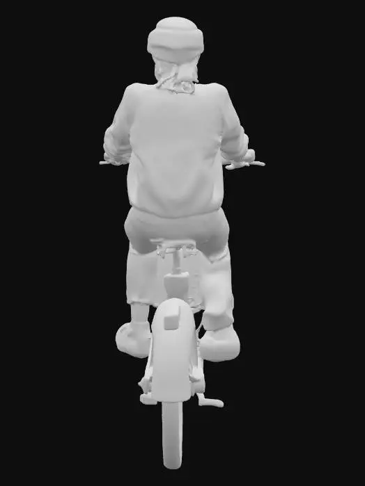 3D model for Cycling Joyride