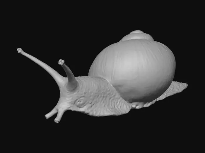 3D model for Snail on the Move