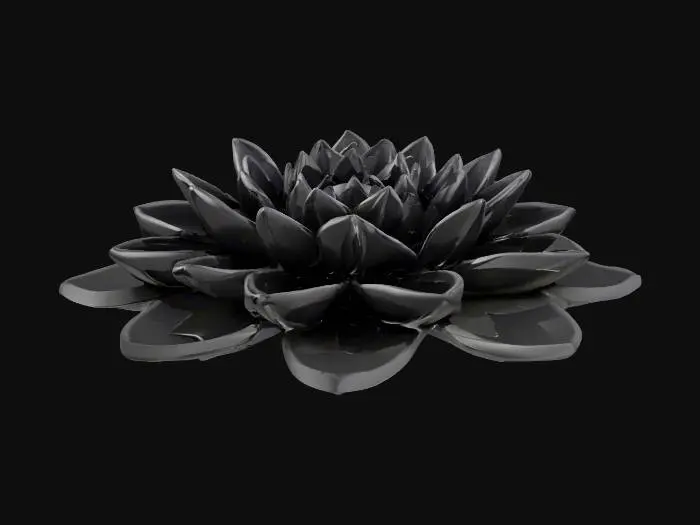 3D model for eine stilvolle und elegante Dekoration für einen Erotikshop, Hochglanzobefläche